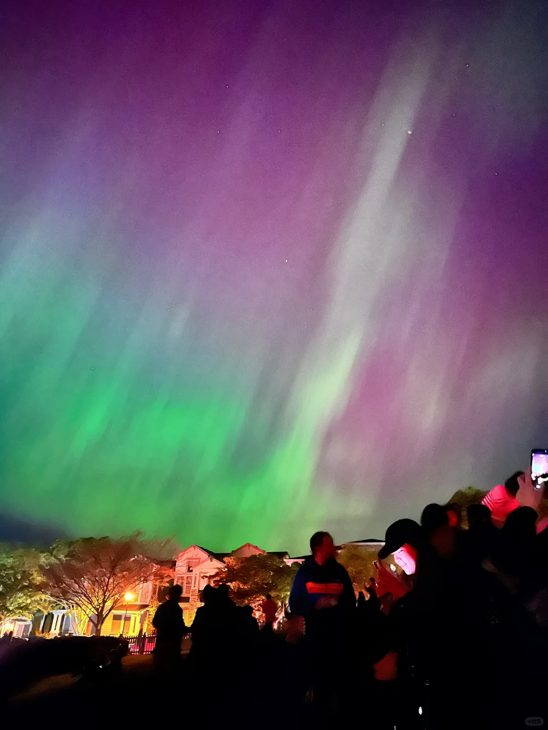 The Closest Aurora Viewing Spot Near Downtown Seattle