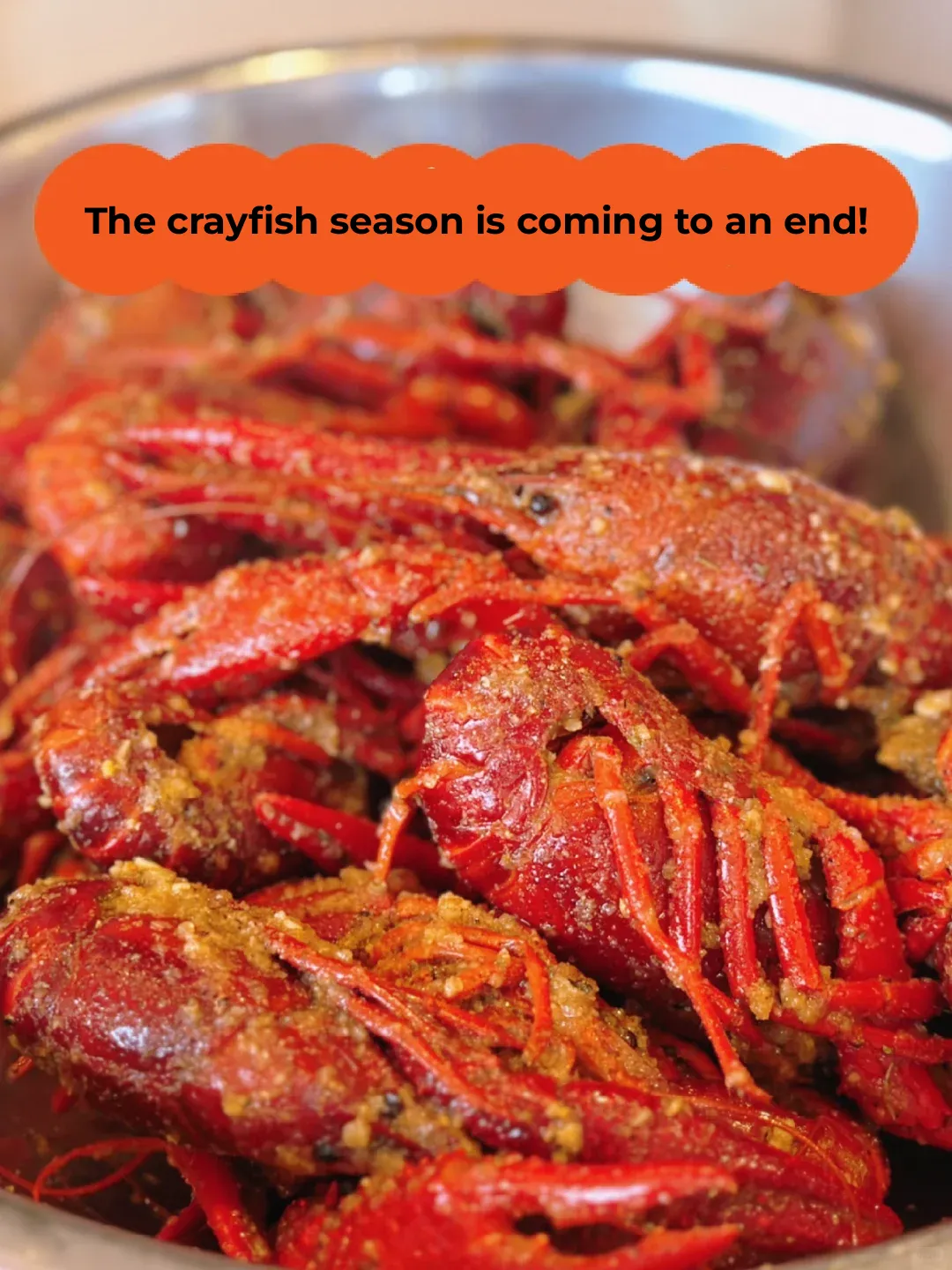 Houston | Catching the Tail End of Crawfish Season 🦞