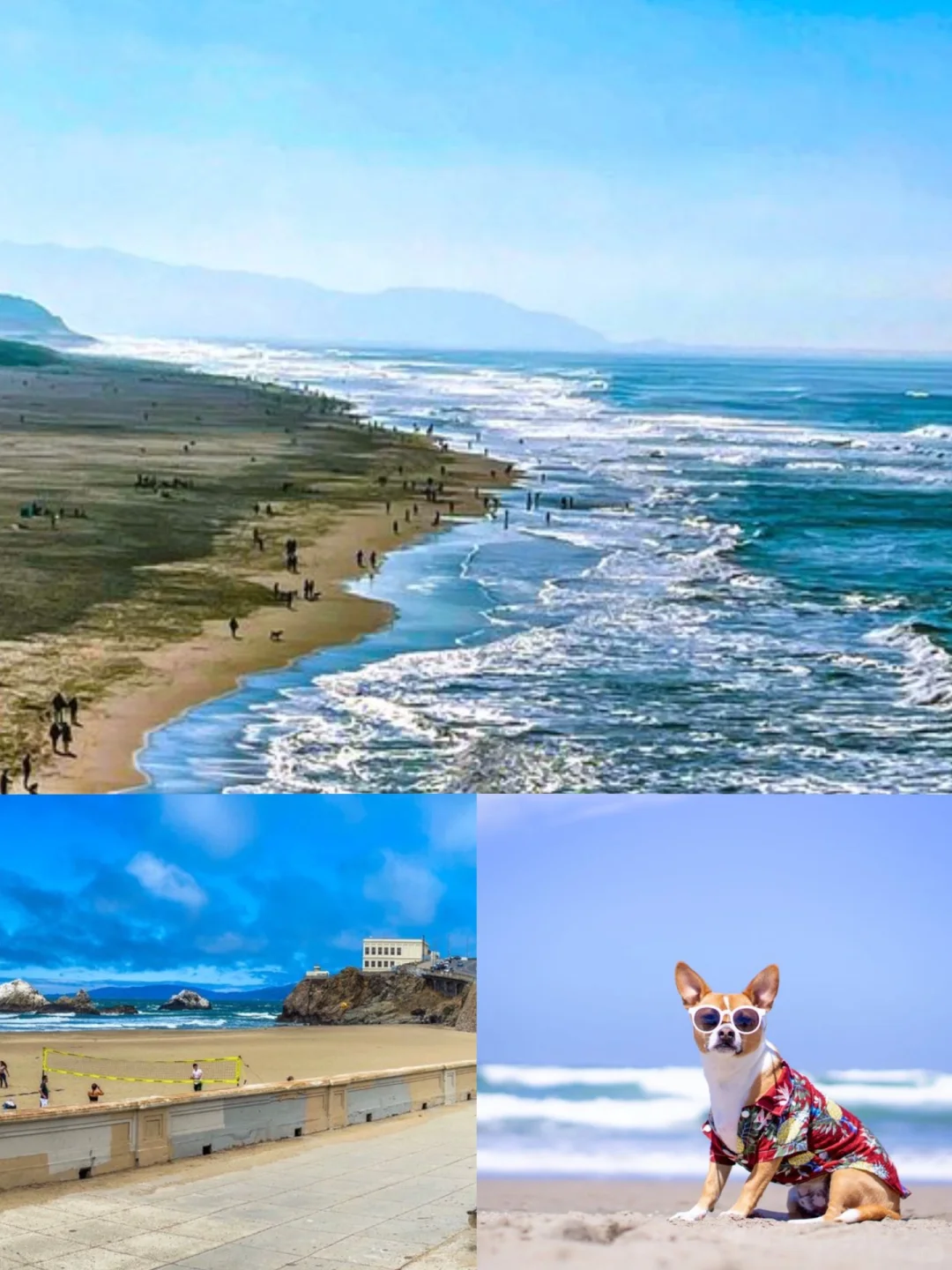 Bay Area Beach Roundup 🌊 Perfect for Dates, Picnics & Sunsets 🌆 Weekend Must-Visit Spots