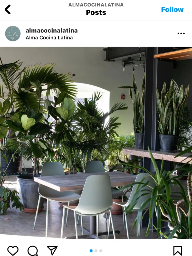 Latin Cuisine in Baltimore's Midtown