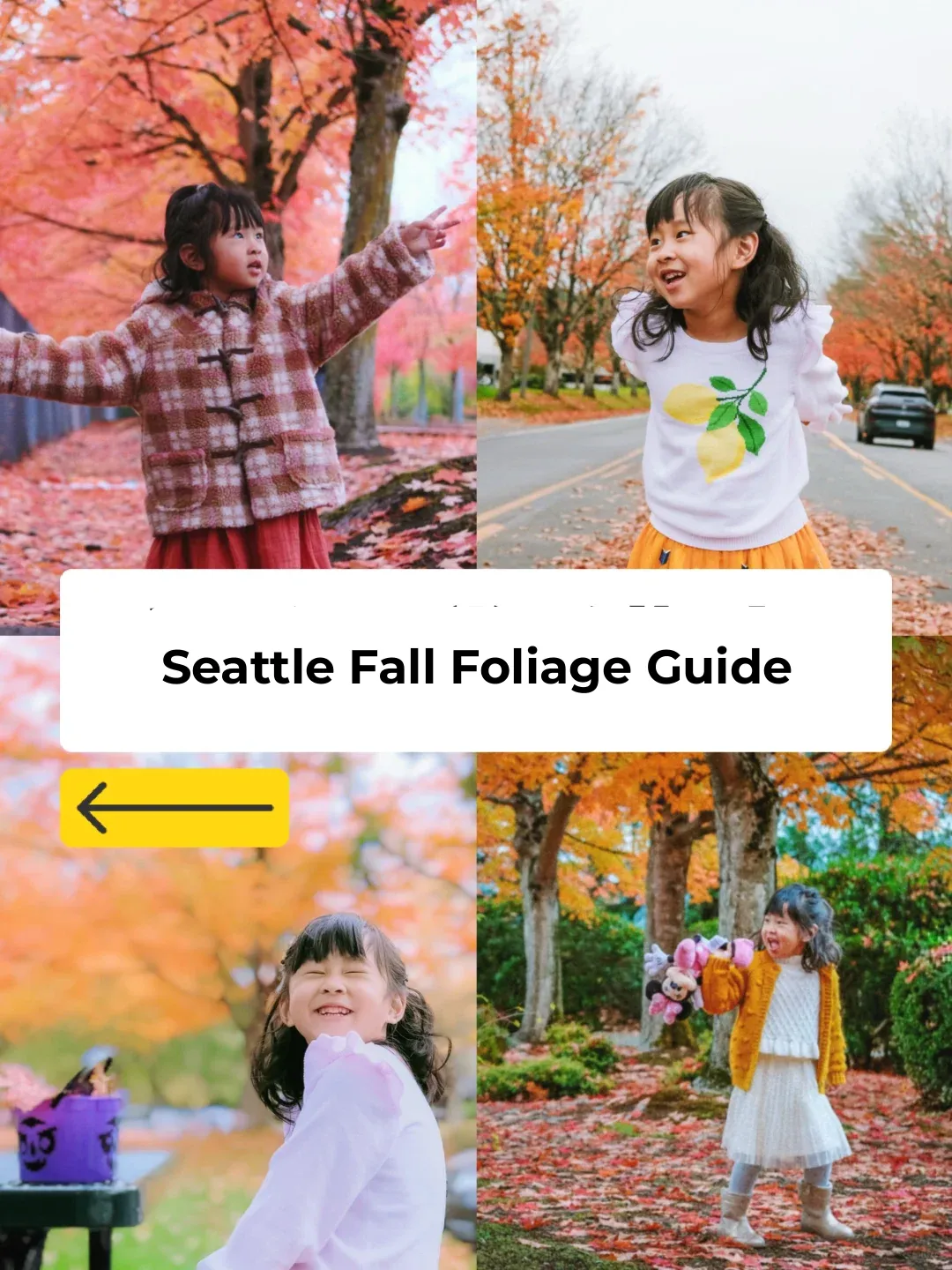 Seattle Autumn Delights | No Hiking Required Edition