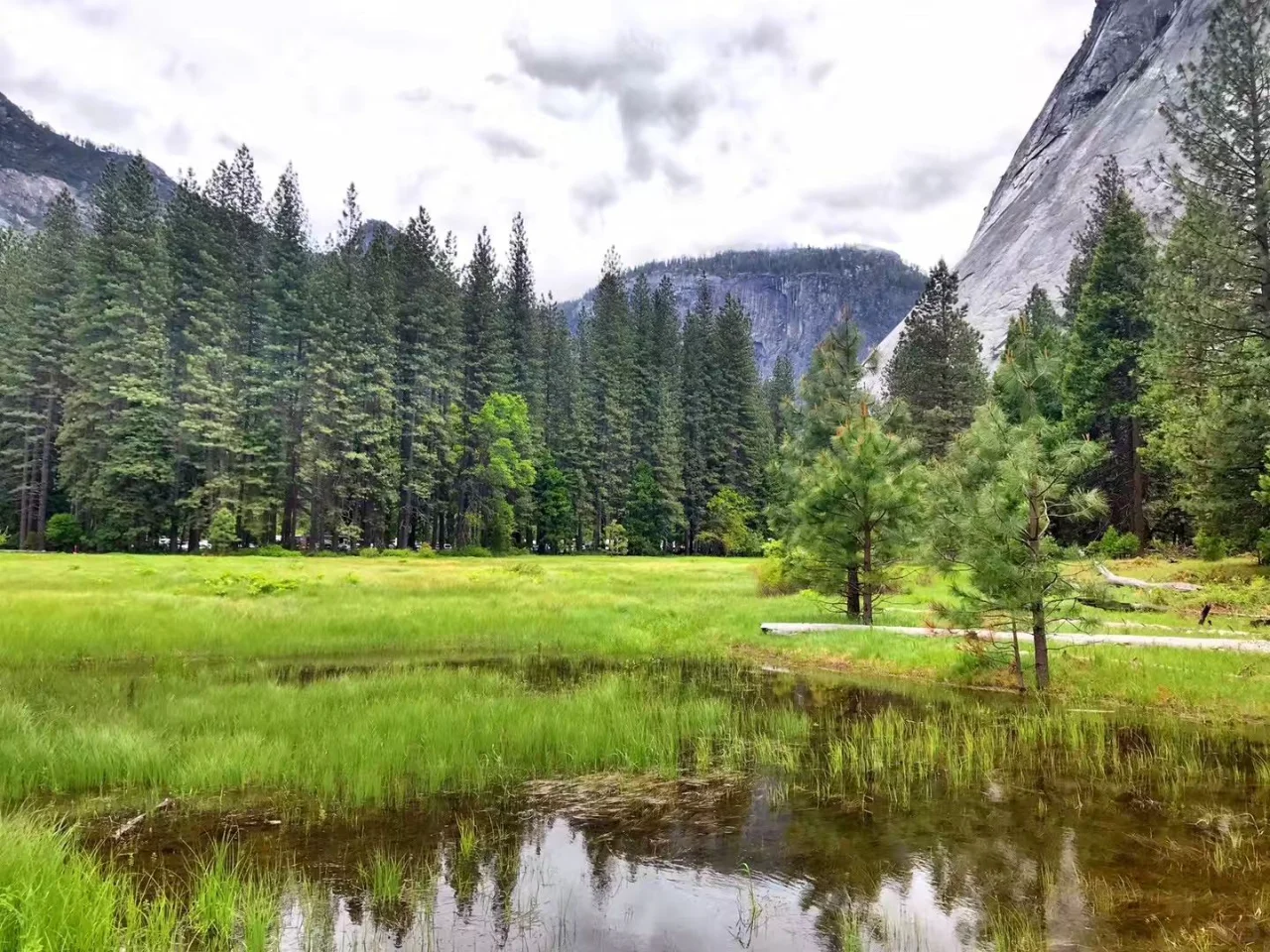 Yosemite National Park | Recharge in Nature’s Oxygen Bar and Shed the Office Grind