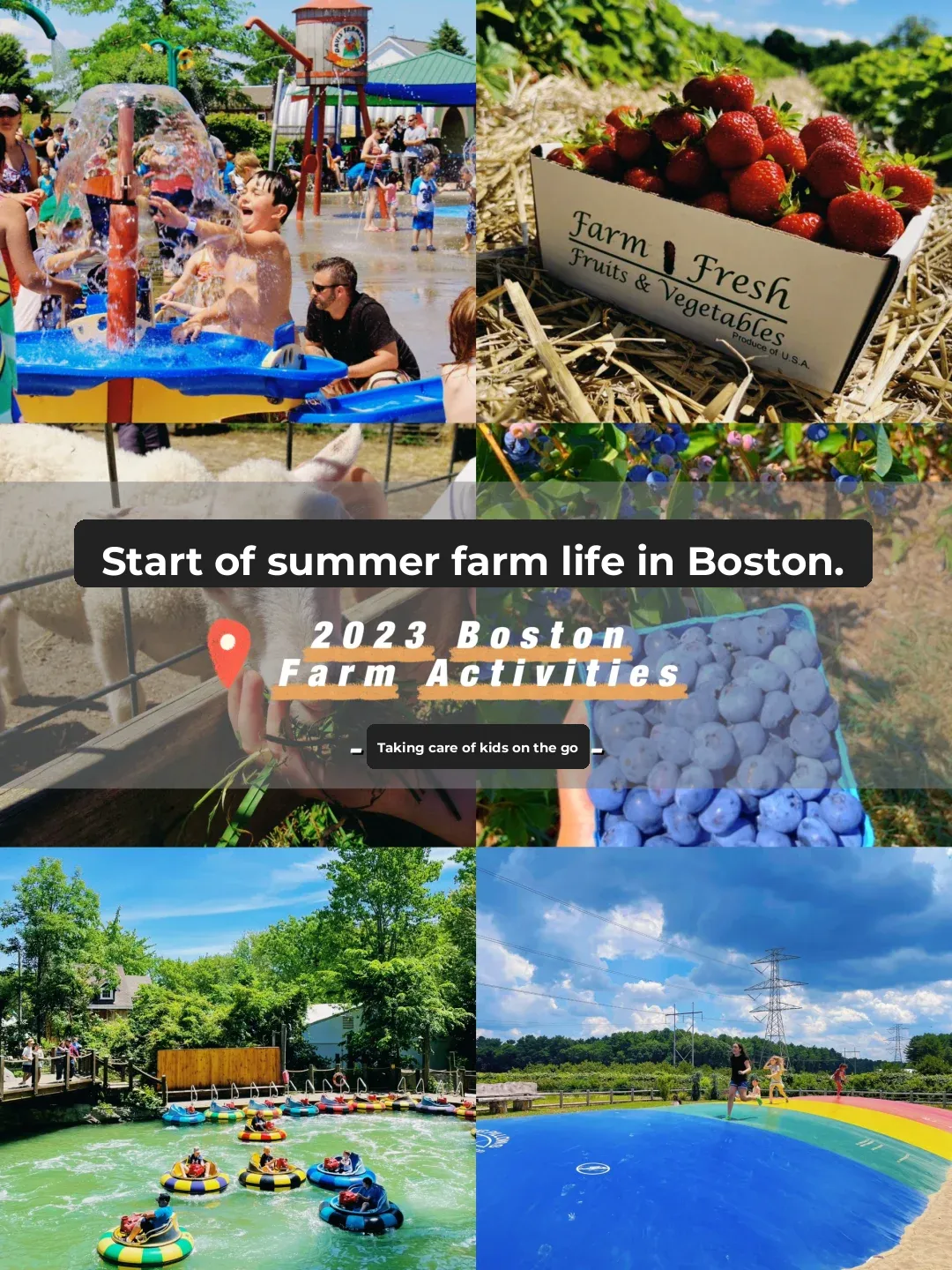🔅 Boston Kid-Friendly Outings | Top-Rated Family Farms to Visit with Kids