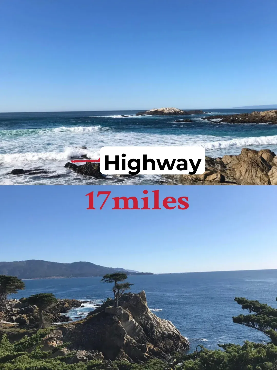 "17-Mile Drive: The Must-Know Guide to Iconic Photo Spots 🌊"