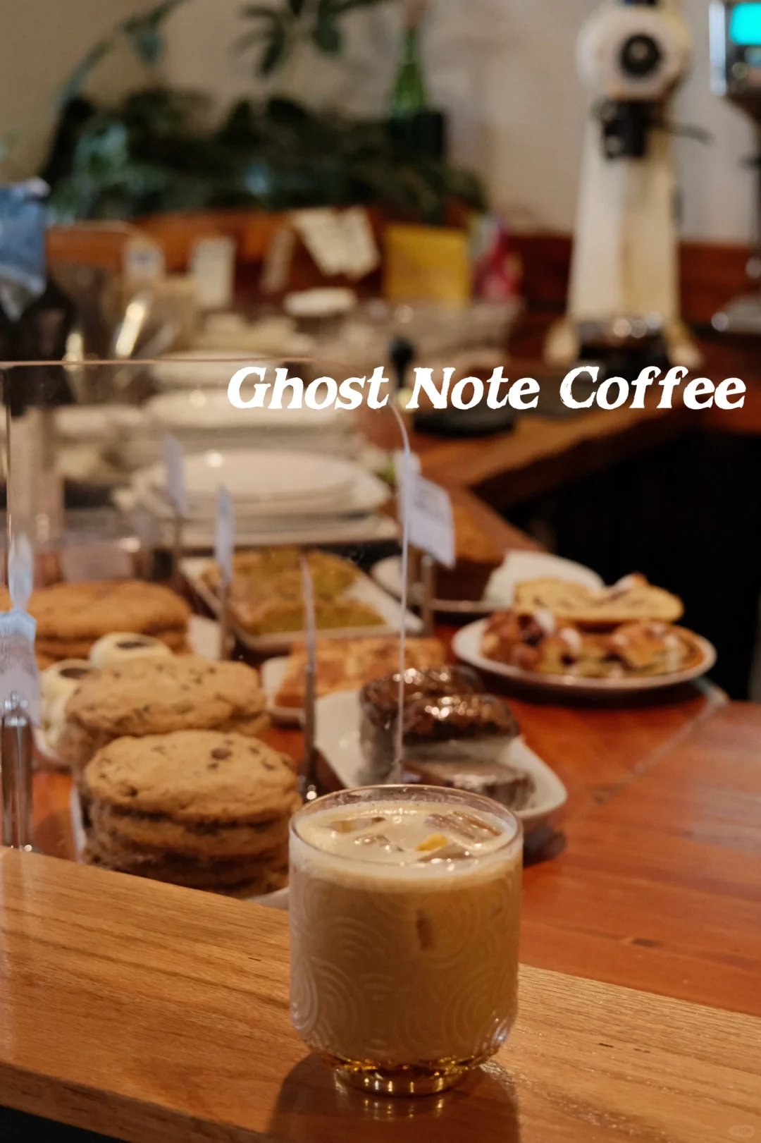 Seattle | Hidden Gems: Cozy Cafes Perfect for Quiet Productivity