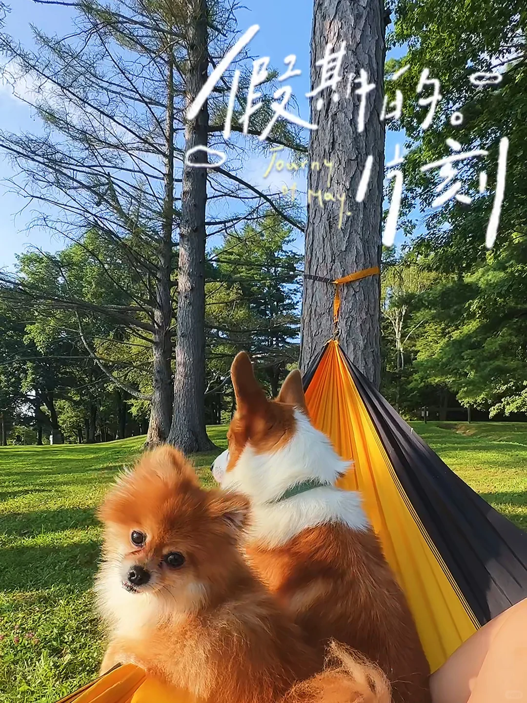 NY Camping ⛺️ Taconic State Park Rudd Pond