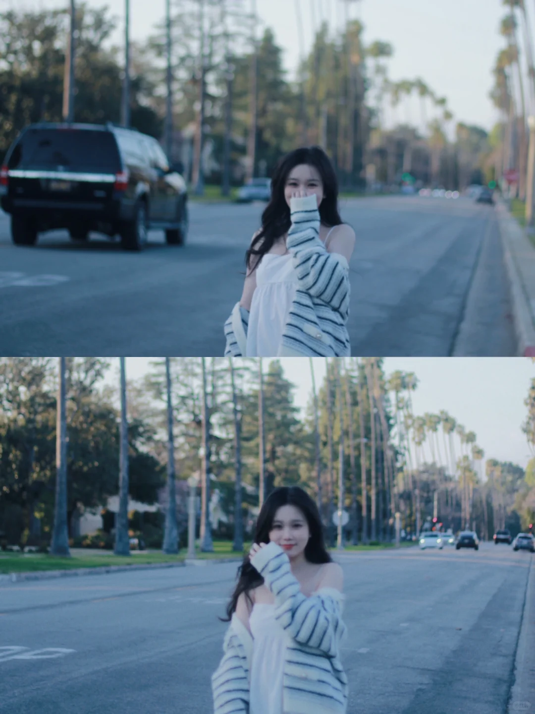 Los Angeles | Hidden Gem Palm Tree Photo Spot 🌴