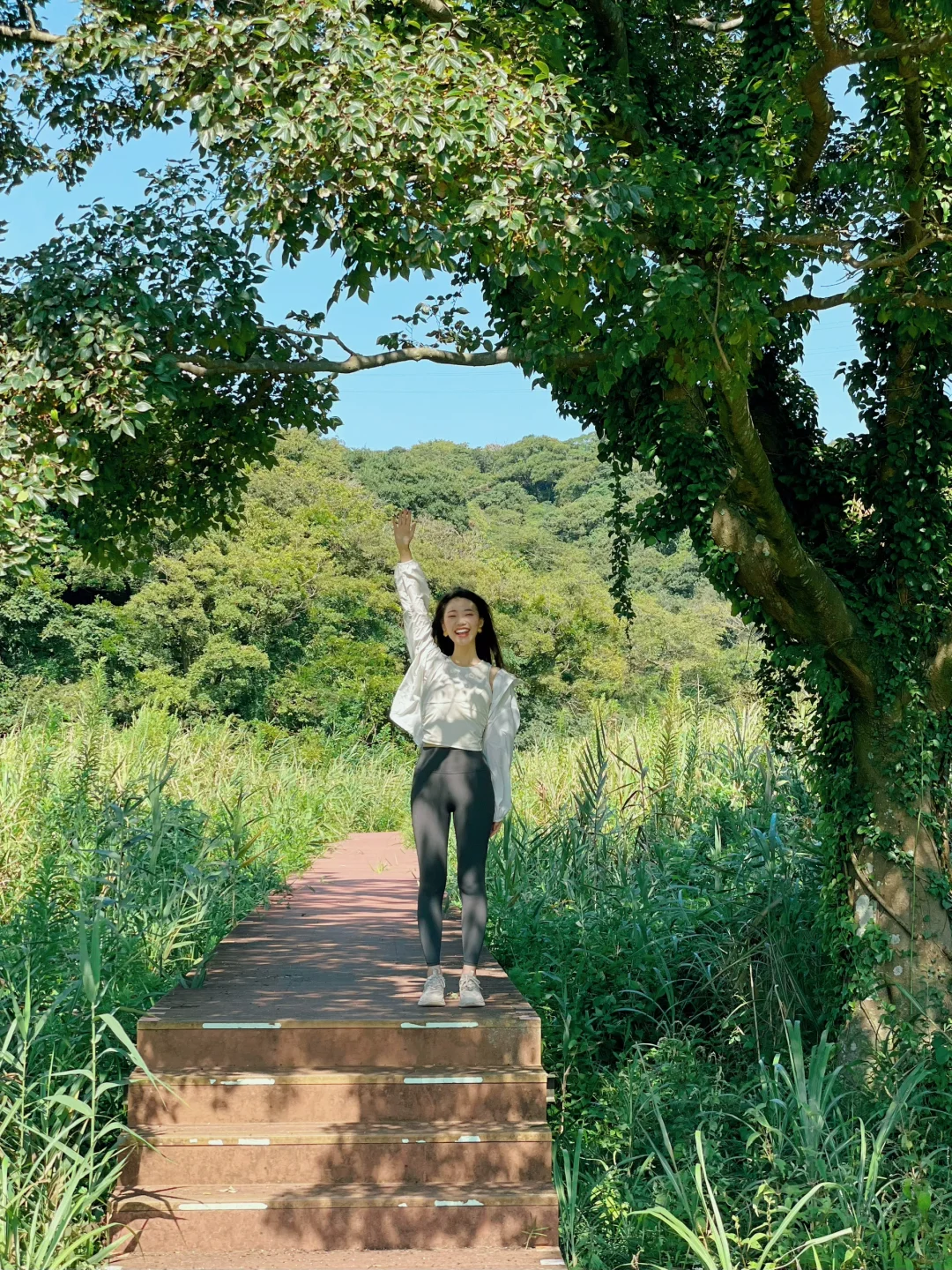 🇯🇵 Tokyo Vicinity | Japan's Hidden Gem: Koajiro no Mori