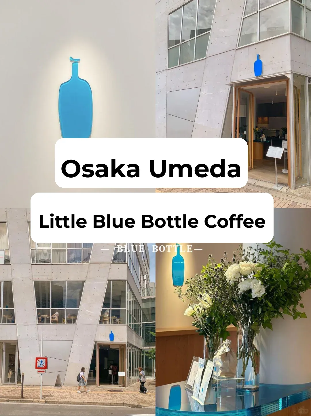 Osaka Travel Guide | Skip Starbucks in Osaka, Go Here Instead!