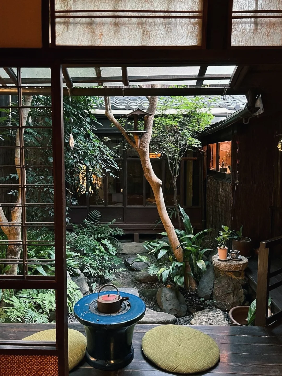 Kyoto's "Warakuan" Guesthouse: 200 RMB/Night Per Person, Cozy Courtyard Drinks on a Rainy Day
