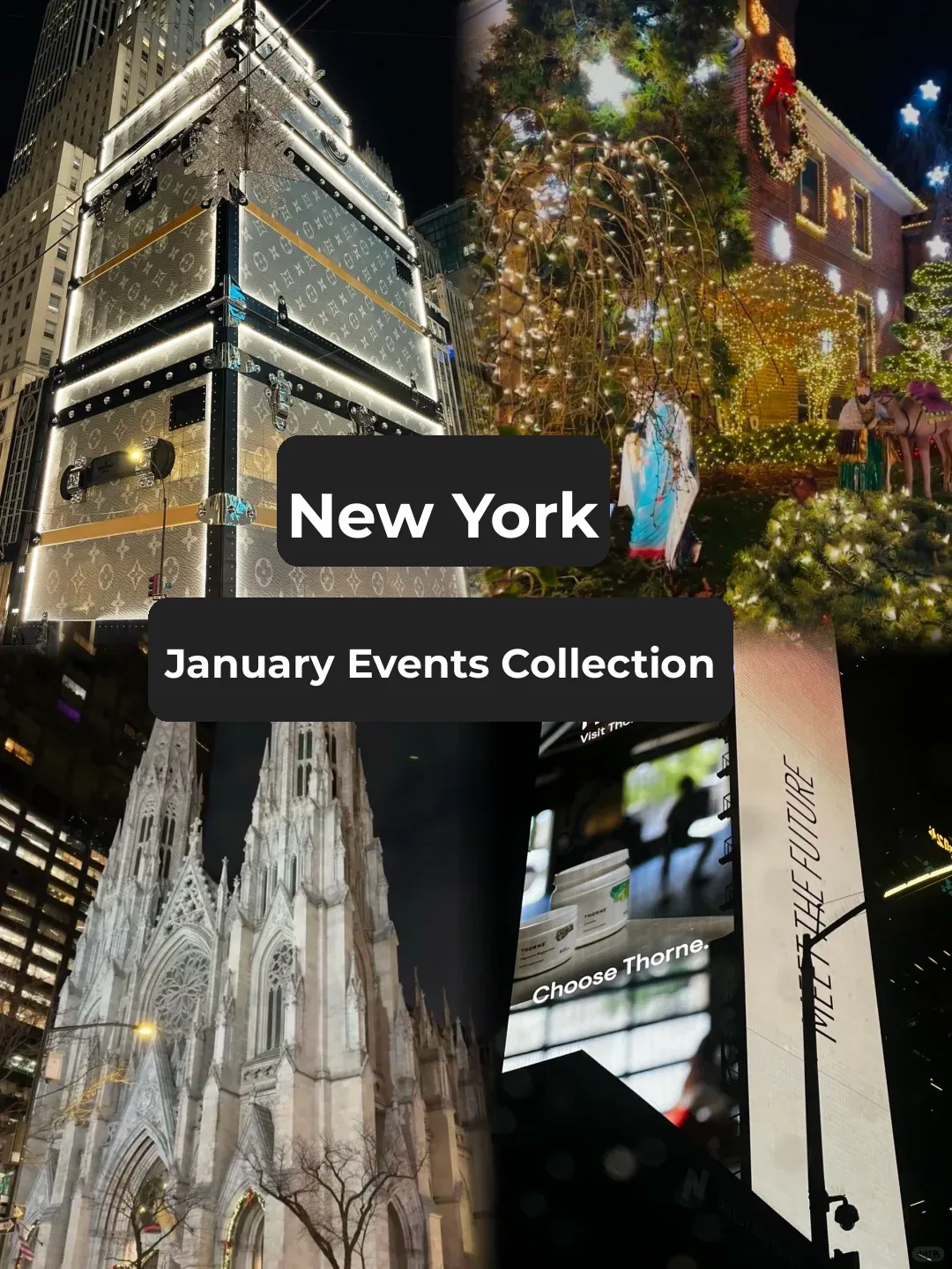 🇺🇸 January Events in New York City: Holiday Edition 🐛🐛🐛