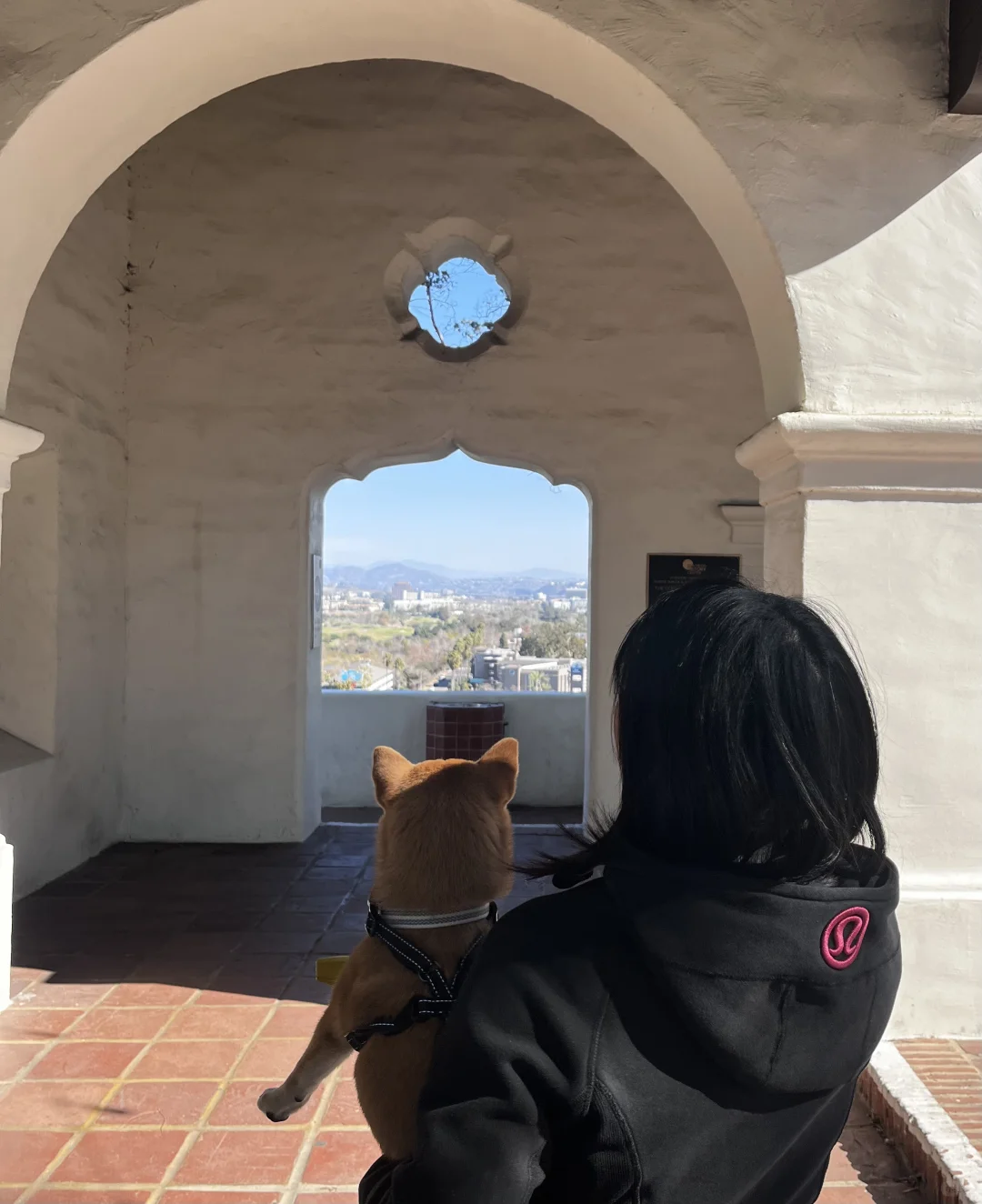 Taking My Shiba Inu to See the Birthplace of California in the Americas