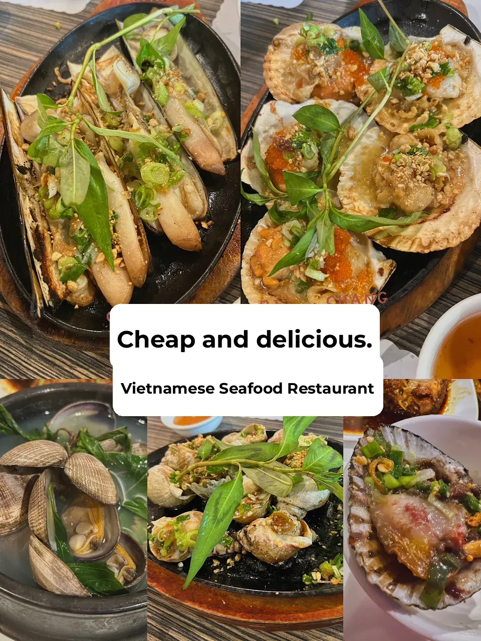 South Bay's Ultimate Vietnamese Grilled Seafood! A Must-Visit Spot for Seafood Lovers' Late-Night Snacks