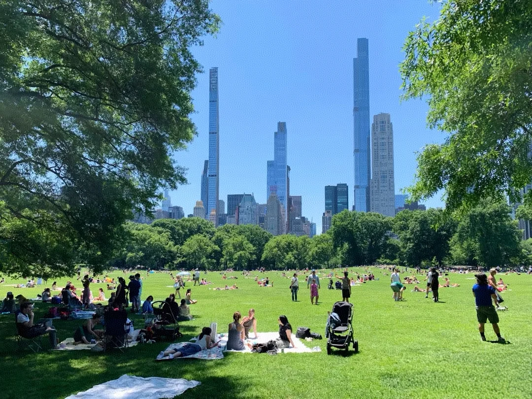 Ultimate Guide to New York's Central Park: A Foolproof Walking Route