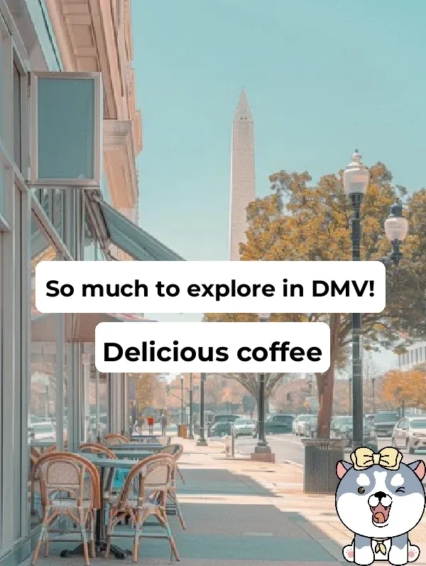 The DMV Actually Has This Many Amazing Coffee Spots ☕️
