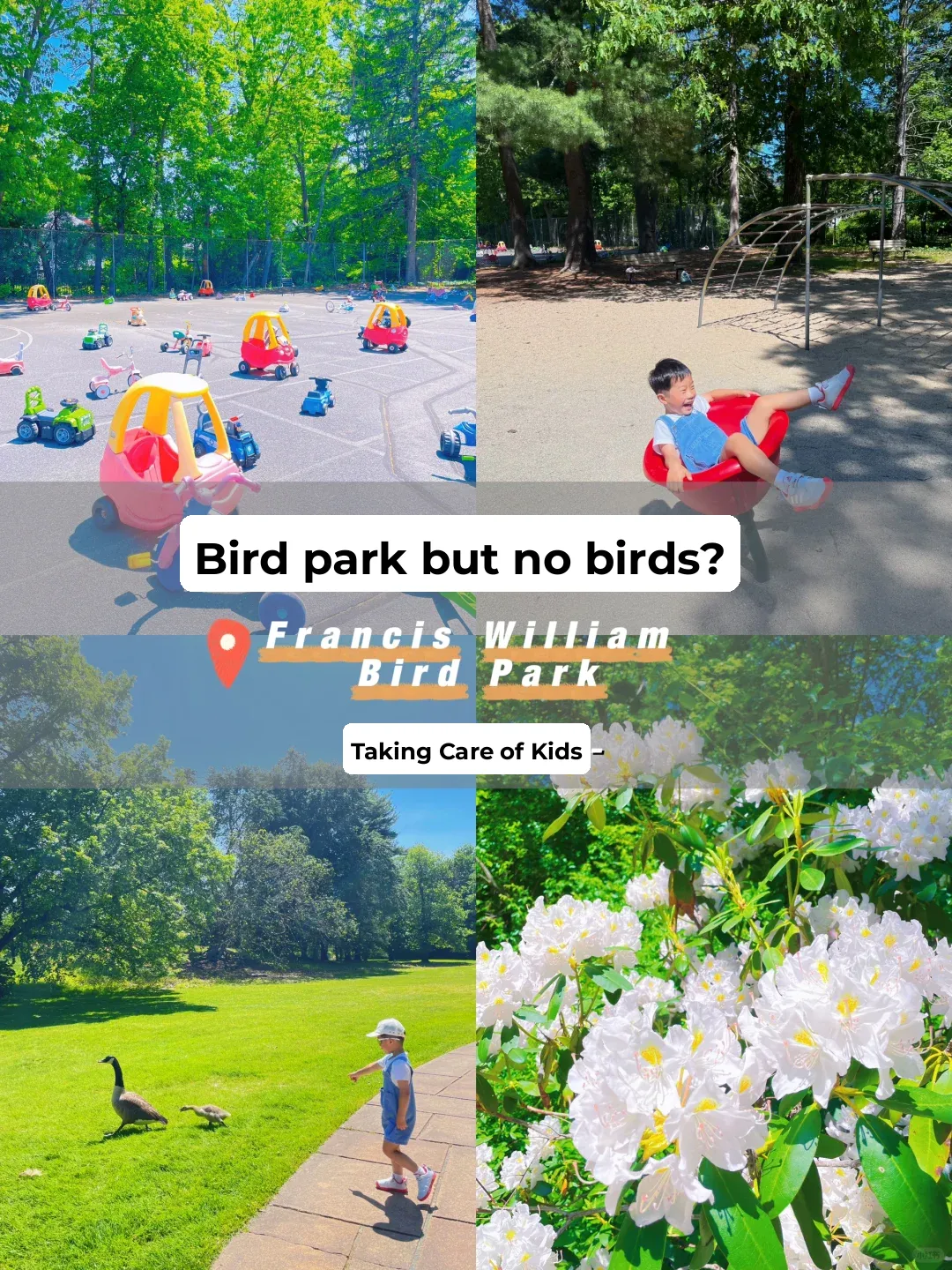 ✨ Boston with Kids | Went to Bird Park for Birdsong… But Where Were the Birds? 🐦❓