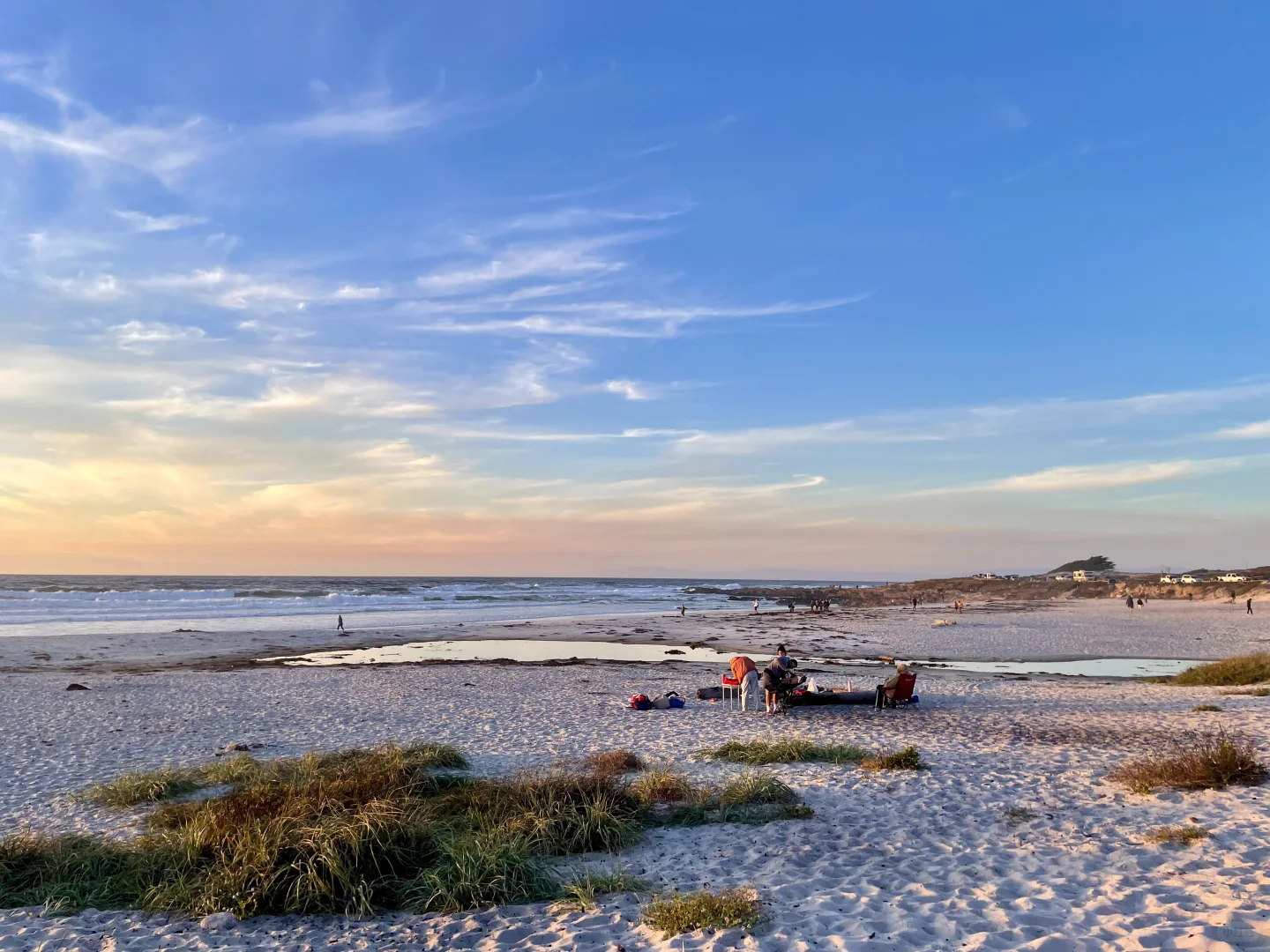 Monterey-Carmel-by-the-Sea 🐳