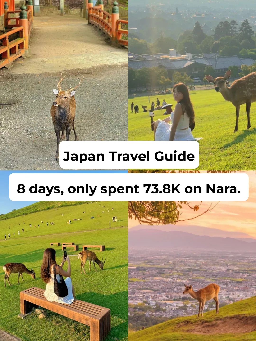 🇲🇾🇯🇵 Nara Day Trip Guide ‼️ 8 Days in Japan for RM3.8K 💰