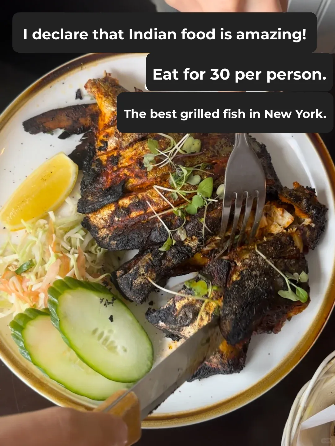 Indian Cuisine is Fire!! 🔥 Ate the Most Flavorful Grilled Fish in NYC for Just $30 Per Person!