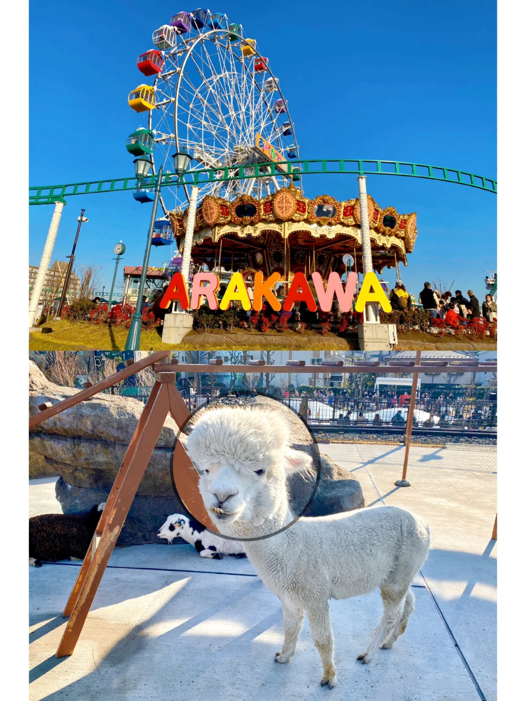 Tokyo Weekend Family Outing 🦙 Arakawa Amusement Park
