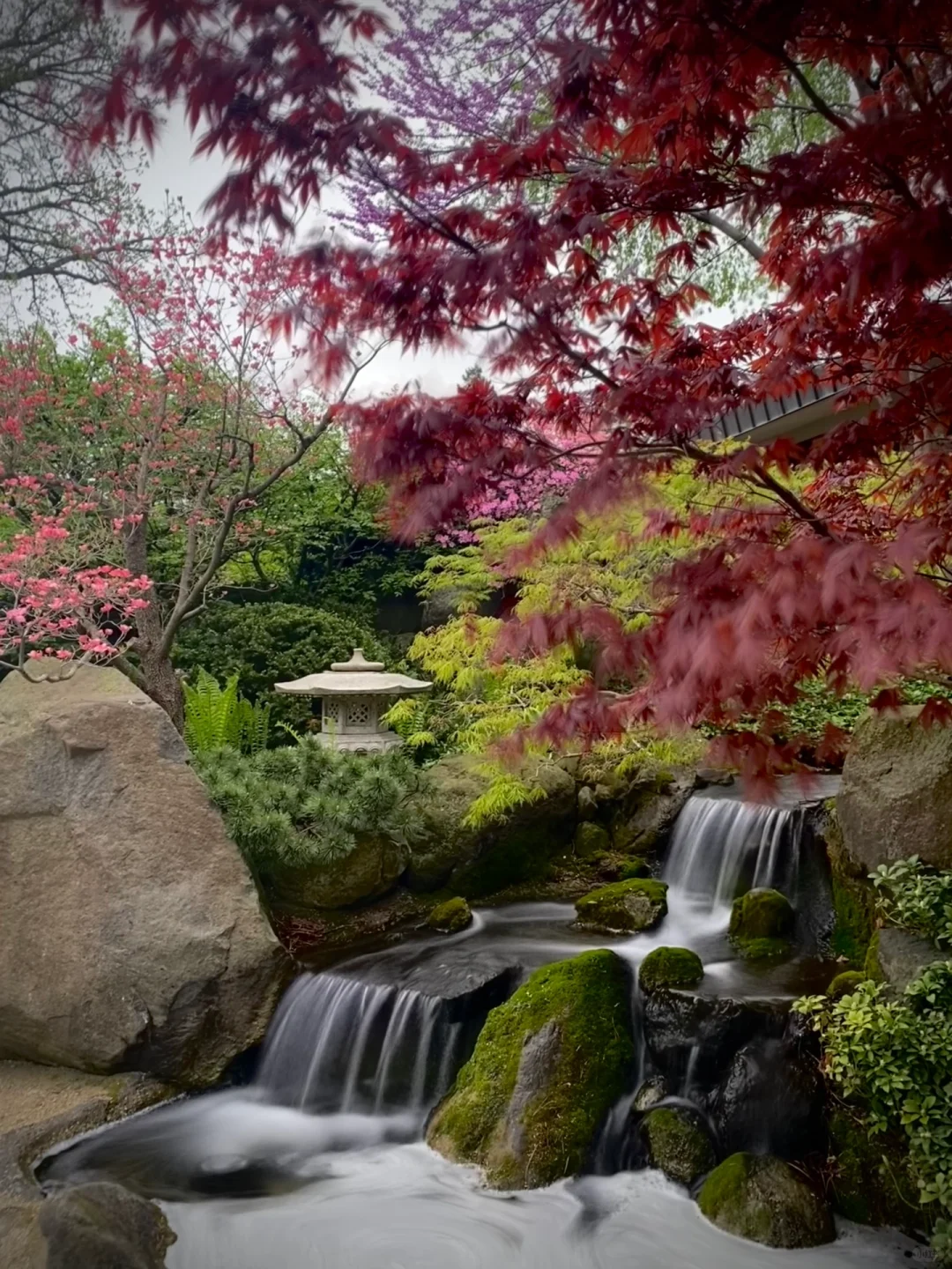 Day Trip from Chicago 🚗 Japanese Garden 🌳