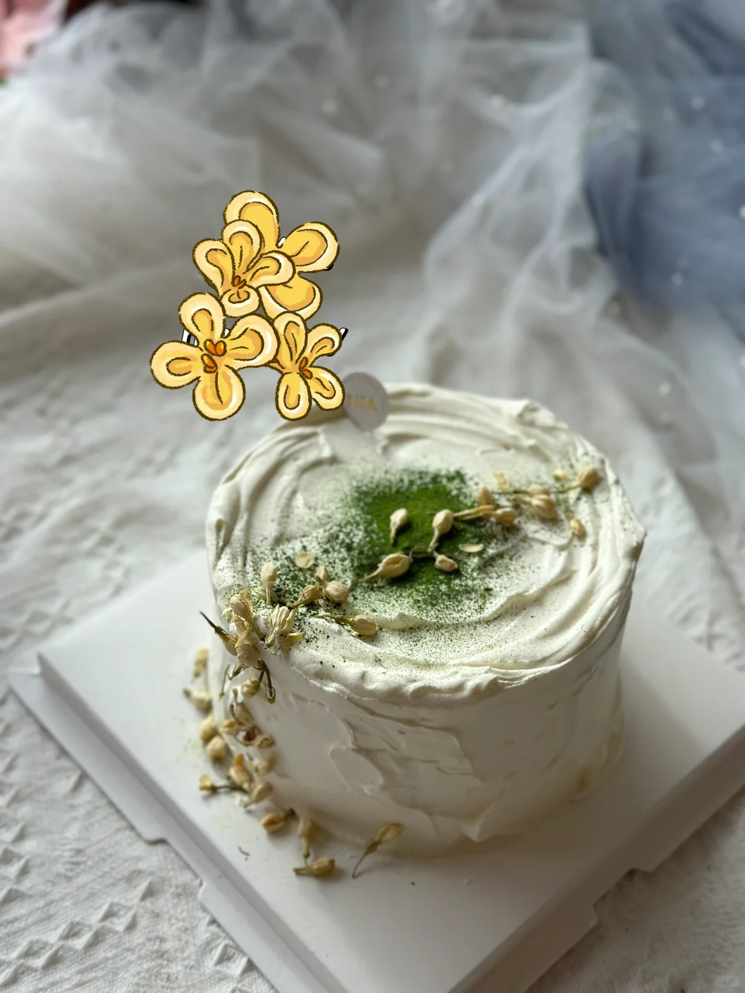 NIA Chicago Custom Cakes - Recent Creations Showcase