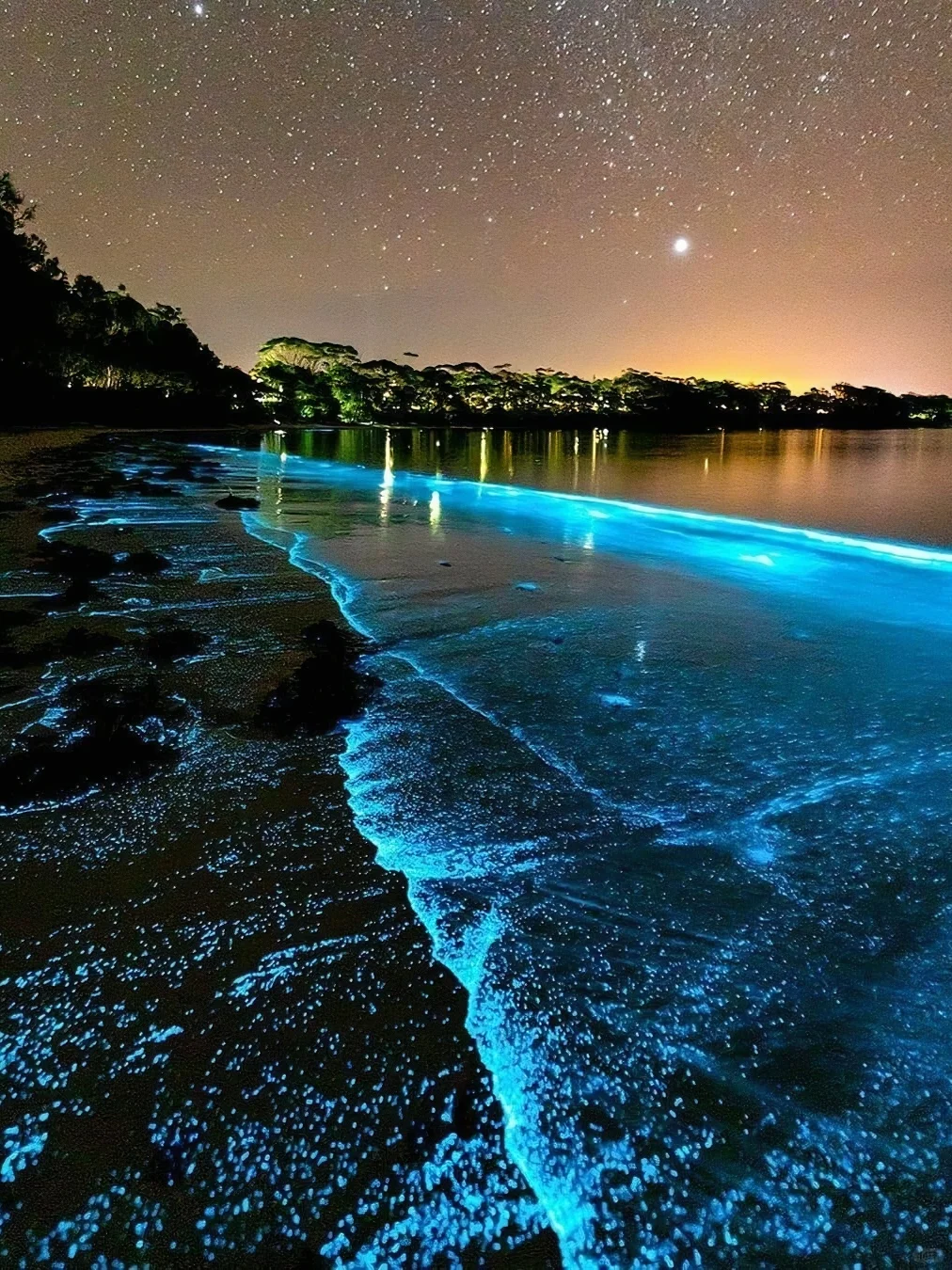 California's Blue Tears Season is Here 💙 | Beach List Included
