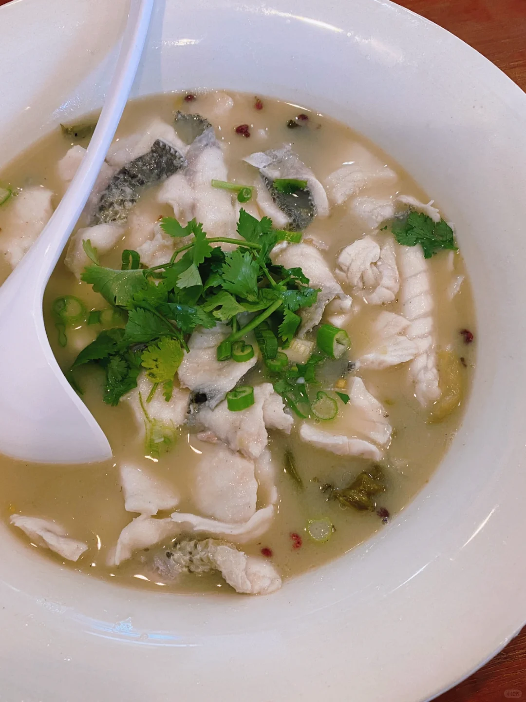 Orlando | Recently Opened Restaurants You Should Try