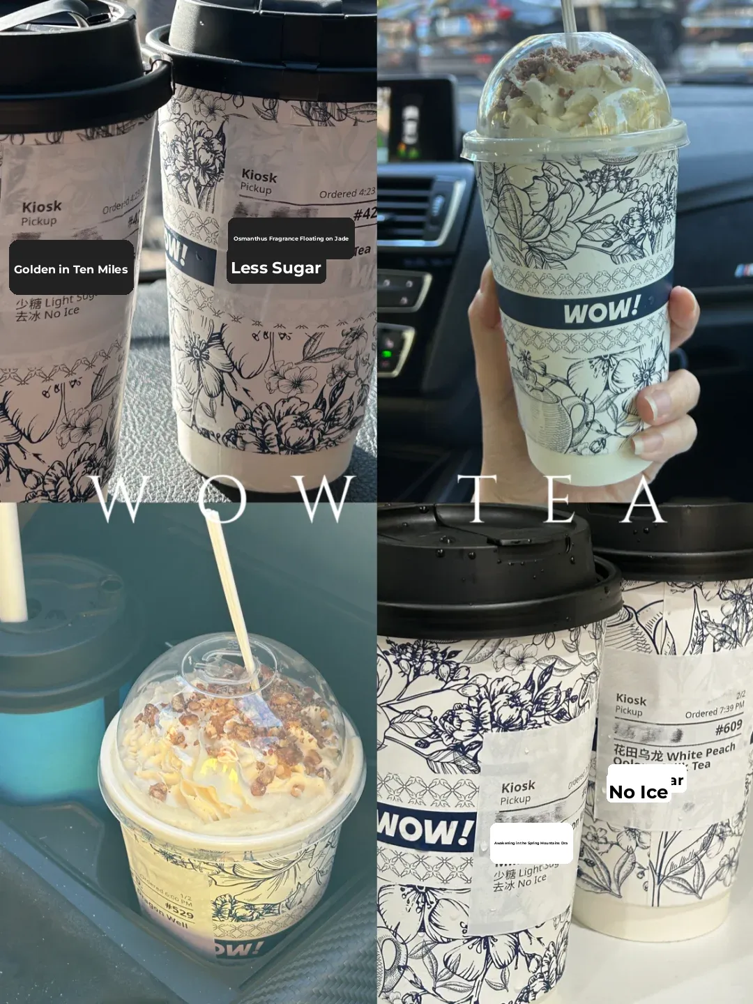 🇺🇸 Bay Area Food Hunt | Little Fan Checks Out the New Brew 🧋