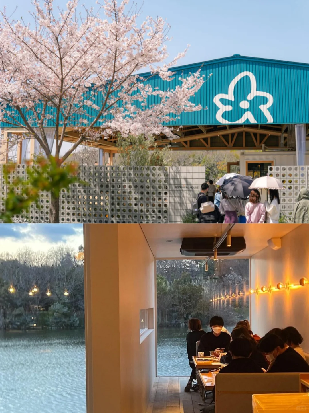 This Osaka afternoon tea is absolutely stunning! You sure you don't want to come?