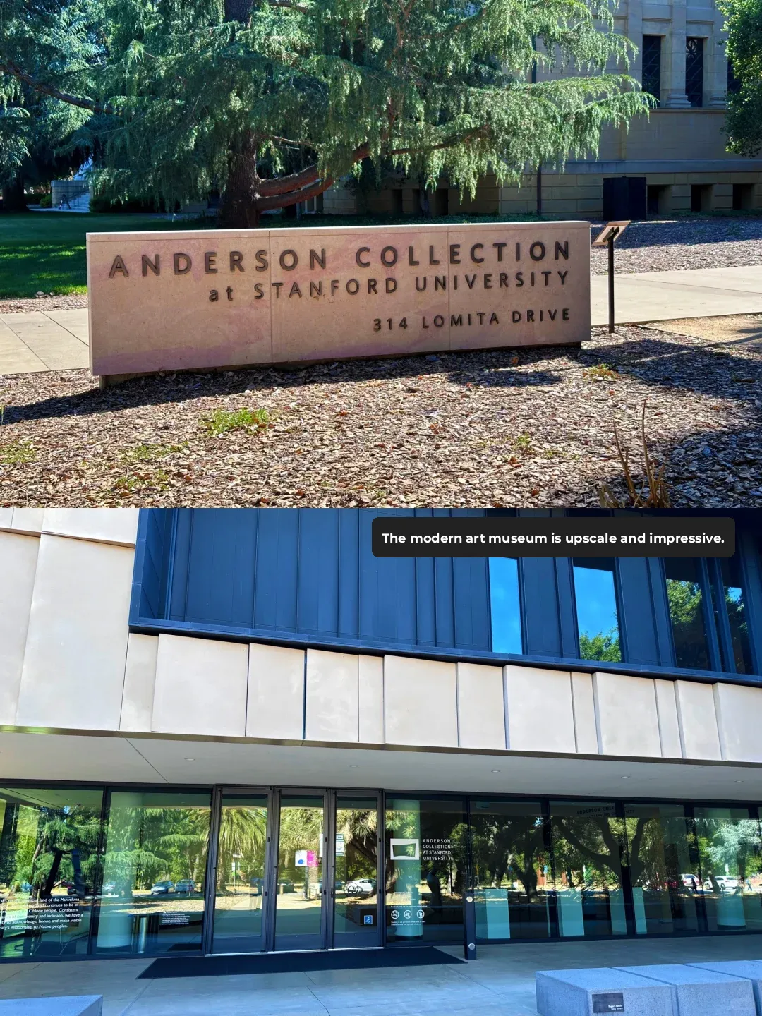 Feeding You the Deets: The Ultimate Convenient Guide to Exploring Stanford University Campus