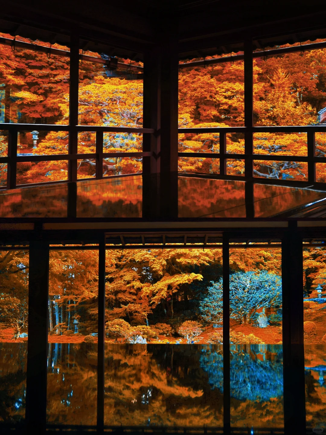 The Aftermath is Too Strong! I Rarely Use "Astonishing" to Describe a Place