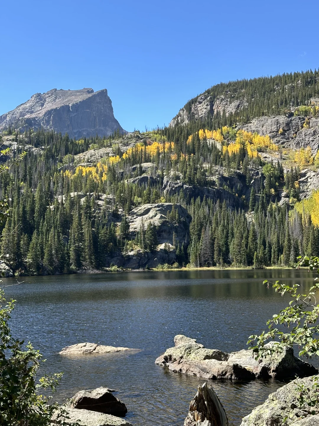 Colorado, USA 🍂 Fall Vibes Report