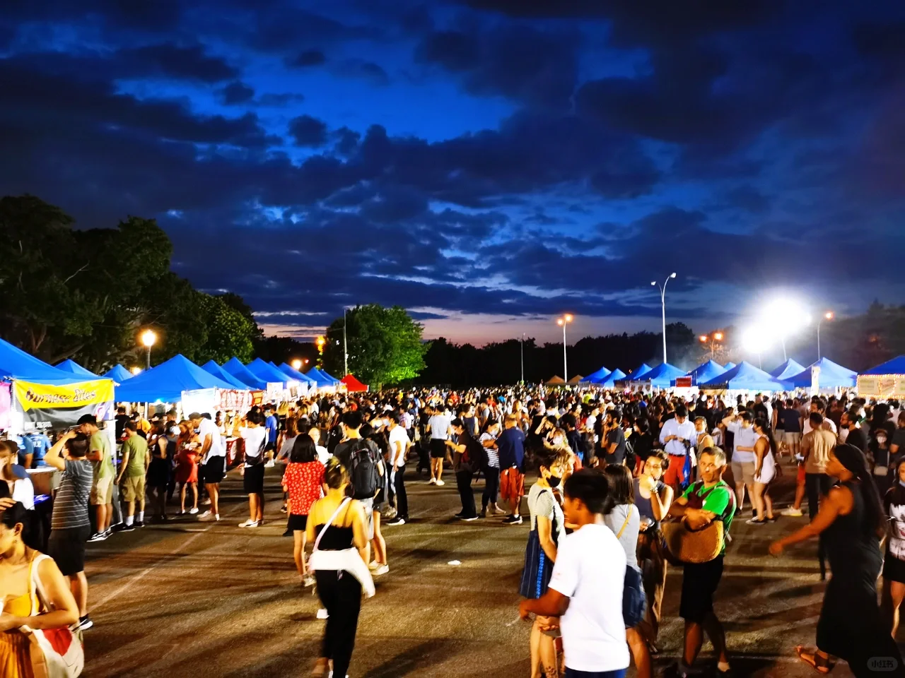 Where to Go This Weekend in NYC! Don't Miss the Flushing International Night Market!
