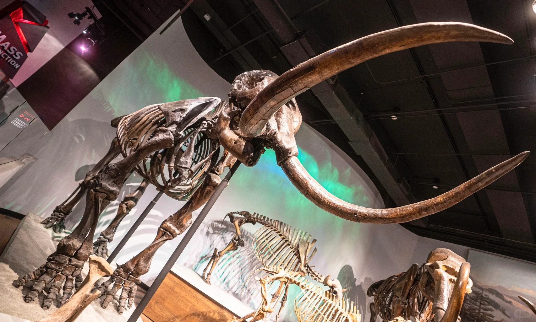 World-Class Field Museum of Natural History | Chicago