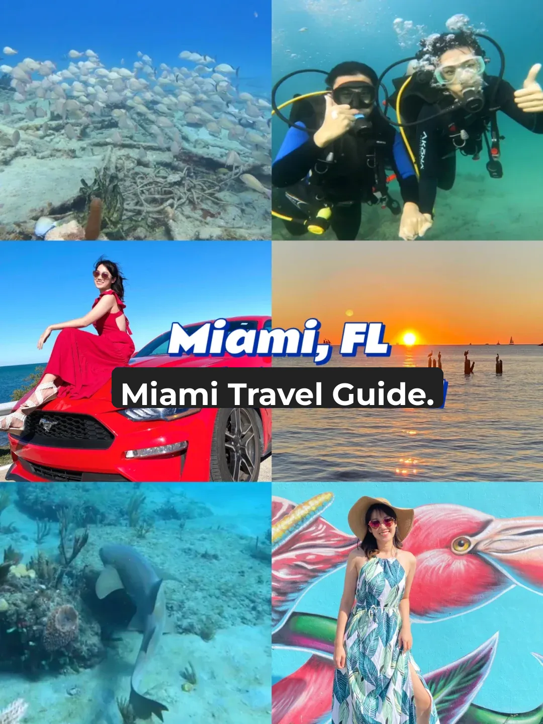 Miami Travel Guide | 🪂 Skydiving • 🤿 Scuba Diving All in One