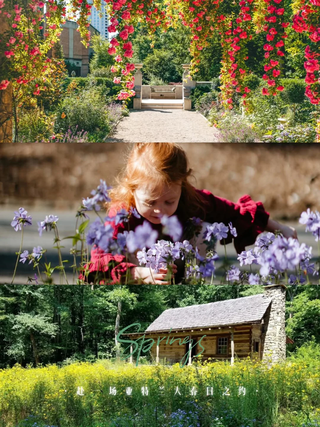 Atlanta's Springtime Secrets Are Hidden in These Gardens 🌸