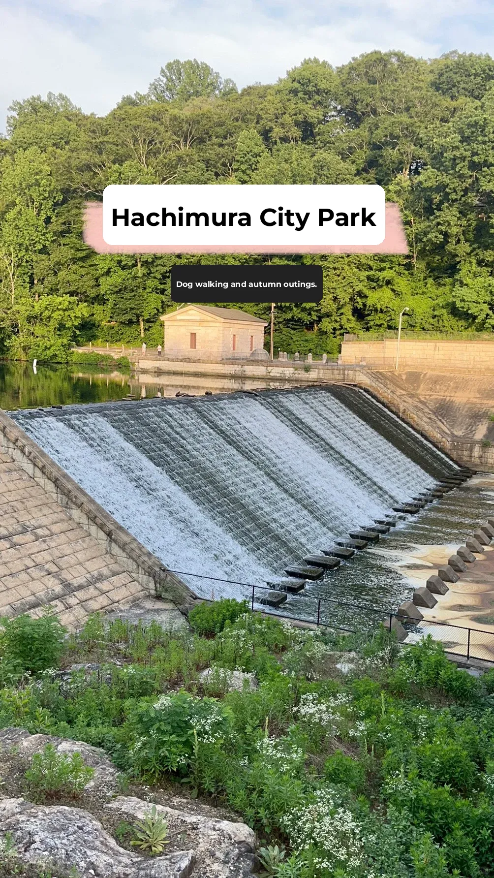 Baltimore City Parks: Great Spots for Relaxing Walks (Includes Map)