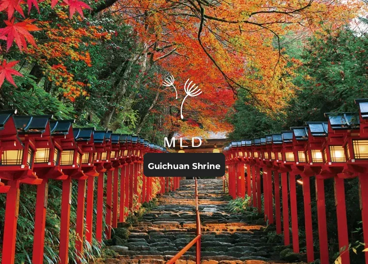 Autumn Allure in Kyoto: Unveiling the Hidden Gems for Maple Viewing