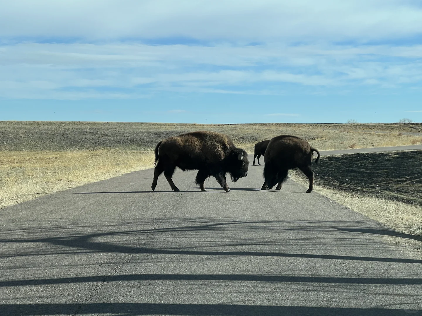 Denver 4-Day Family Trip for Low-Energy Travelers (Minimalist Summary)