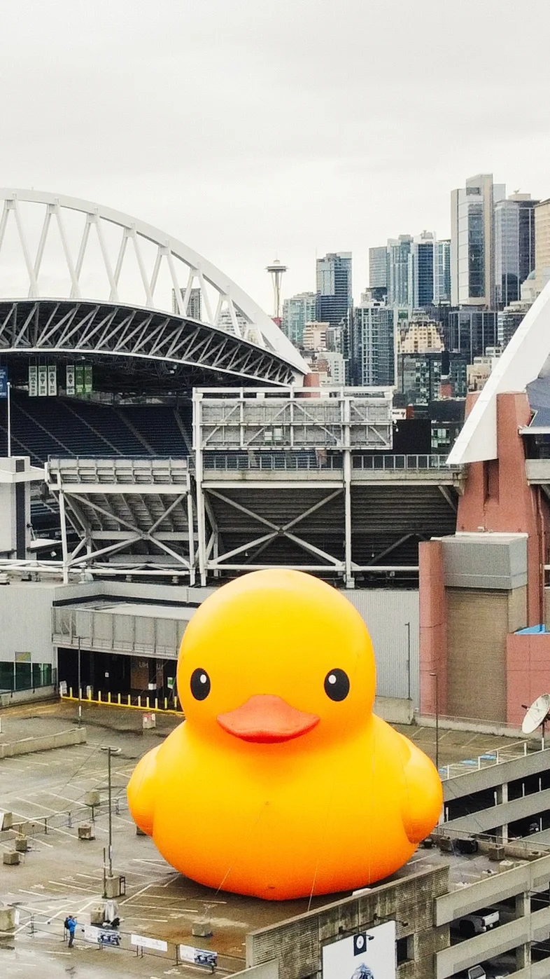 Is the Giant Rubber Duck Celebrating the New Year in Seattle?