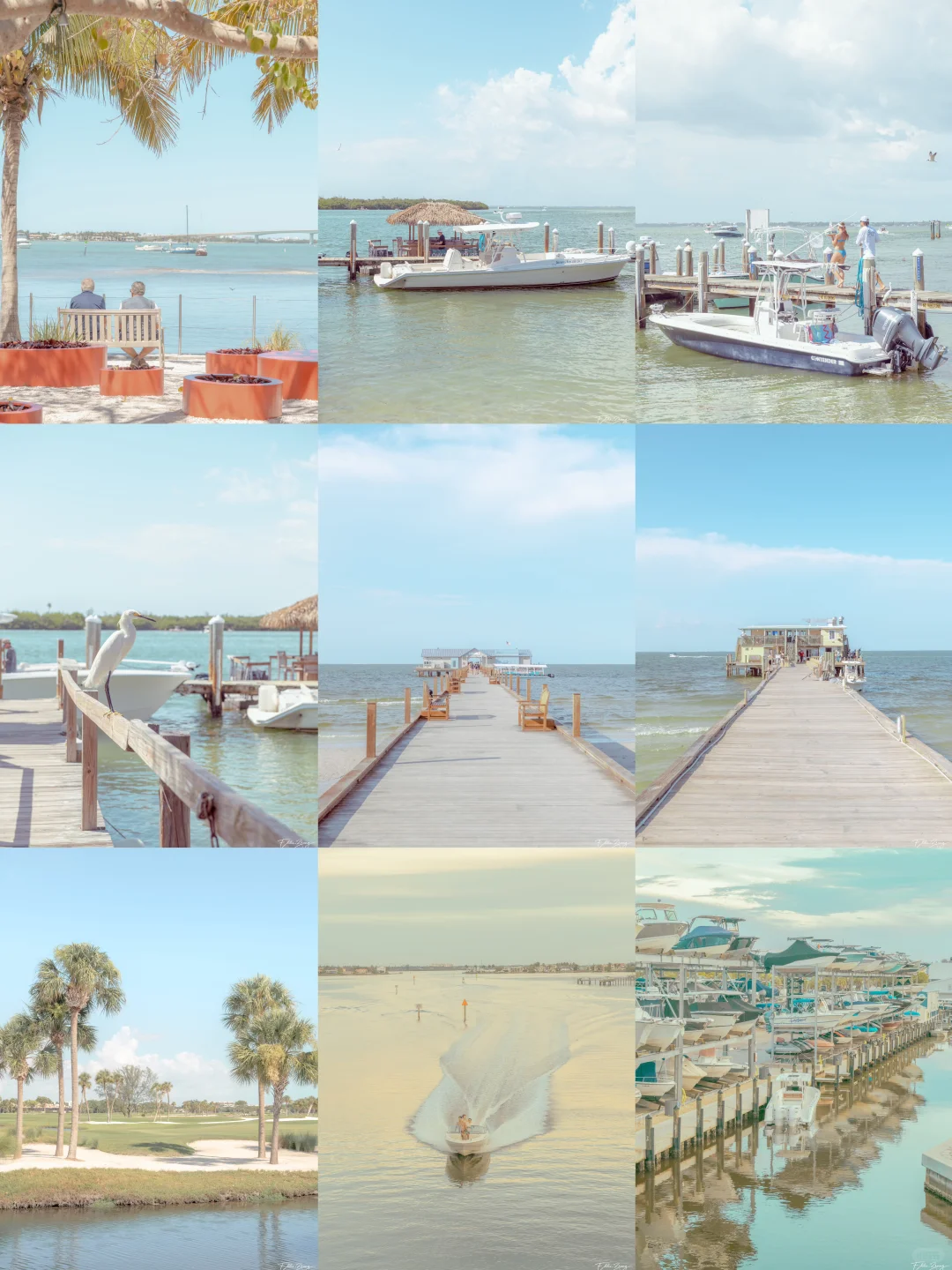 Tampa | Capturing the Everyday Life by the Sea