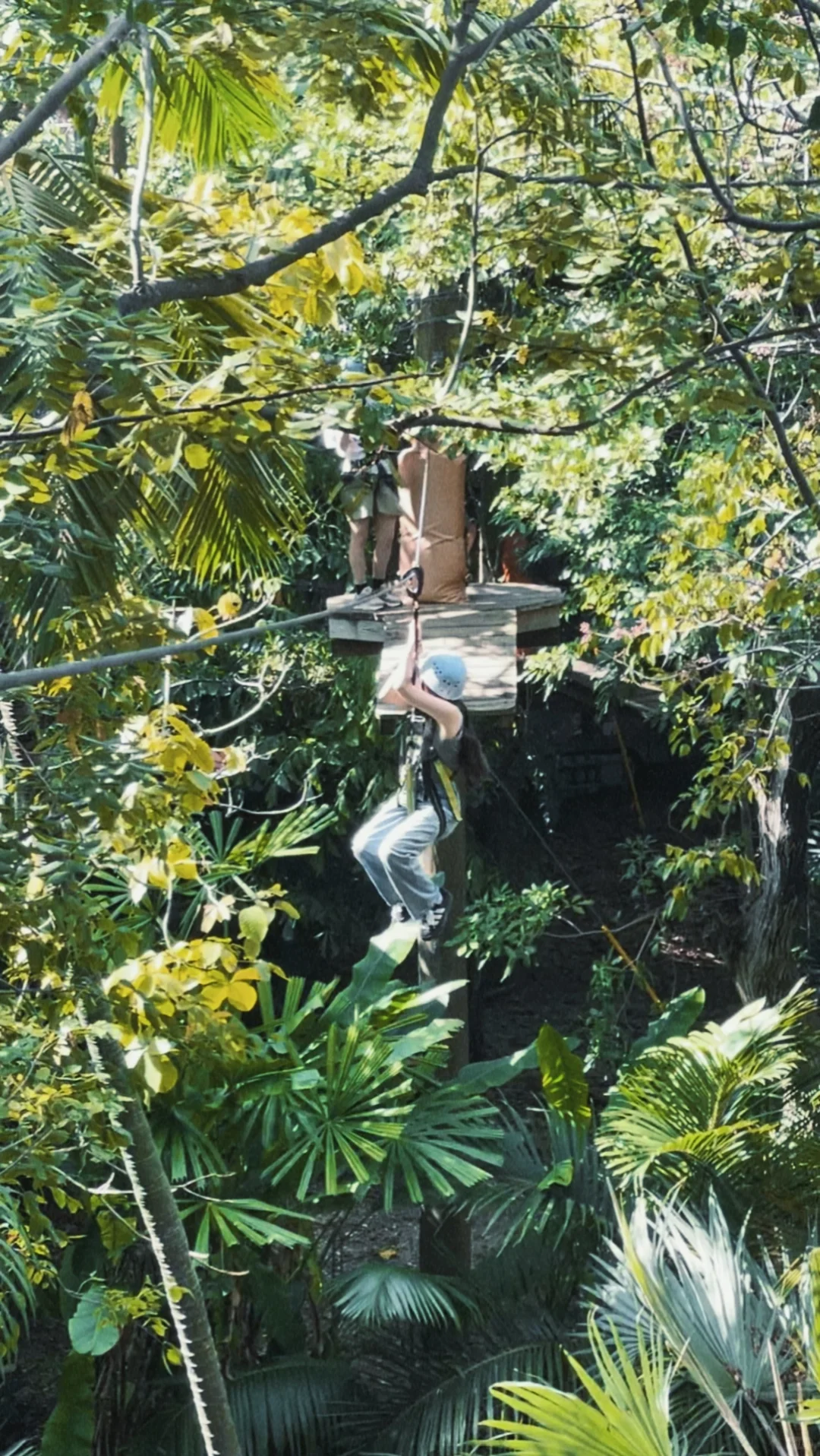Ready for a Miami Jungle Adventure? Treetop Challenge Awaits!