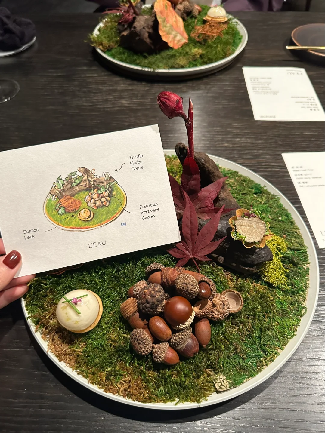 South Aoyama, Tokyo 🍽️ All About Chic French Cuisine