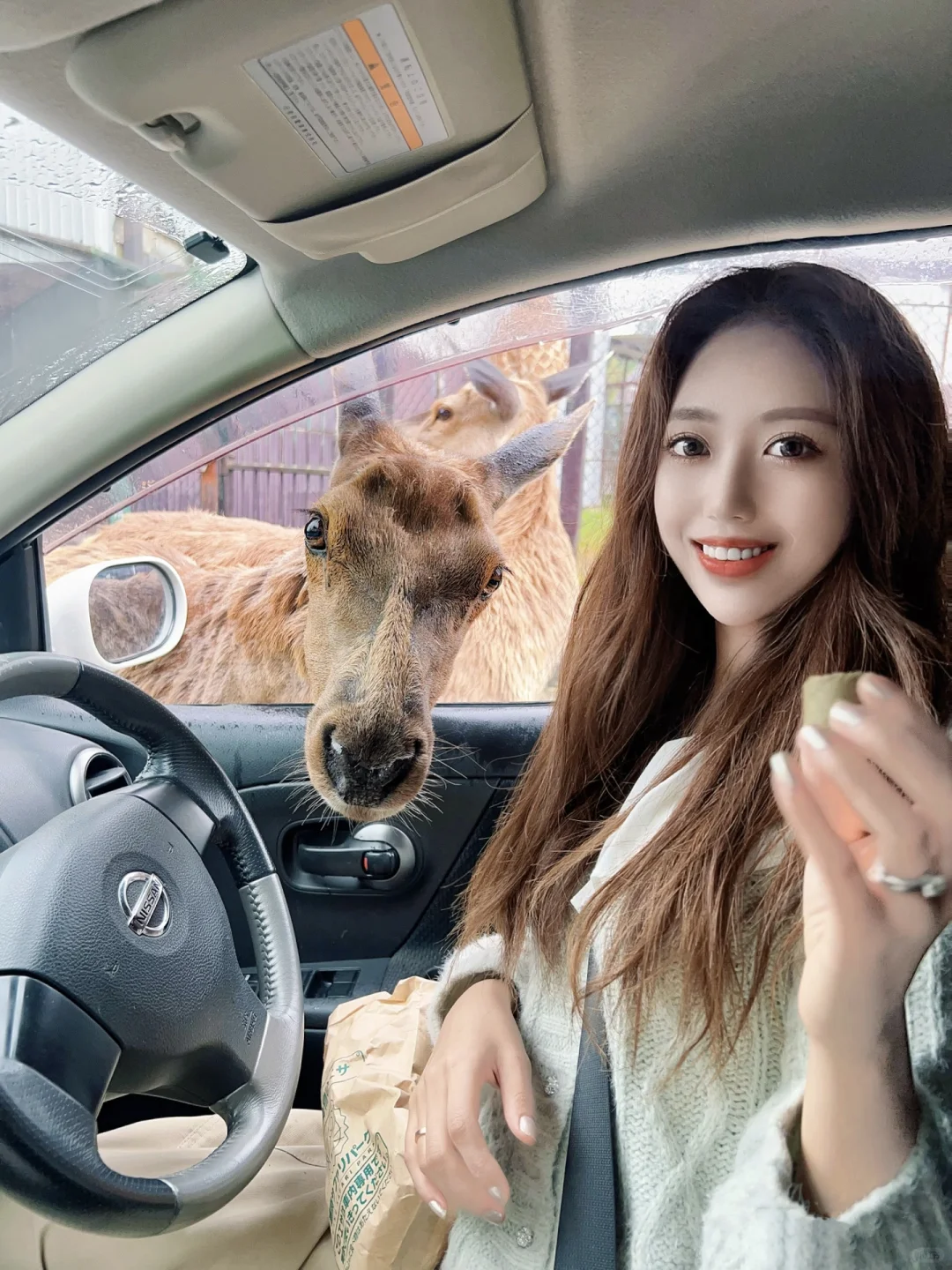 🇯🇵 Road Trip Together | Exploring the Wildlife Park Near Tokyo by Car 🦌