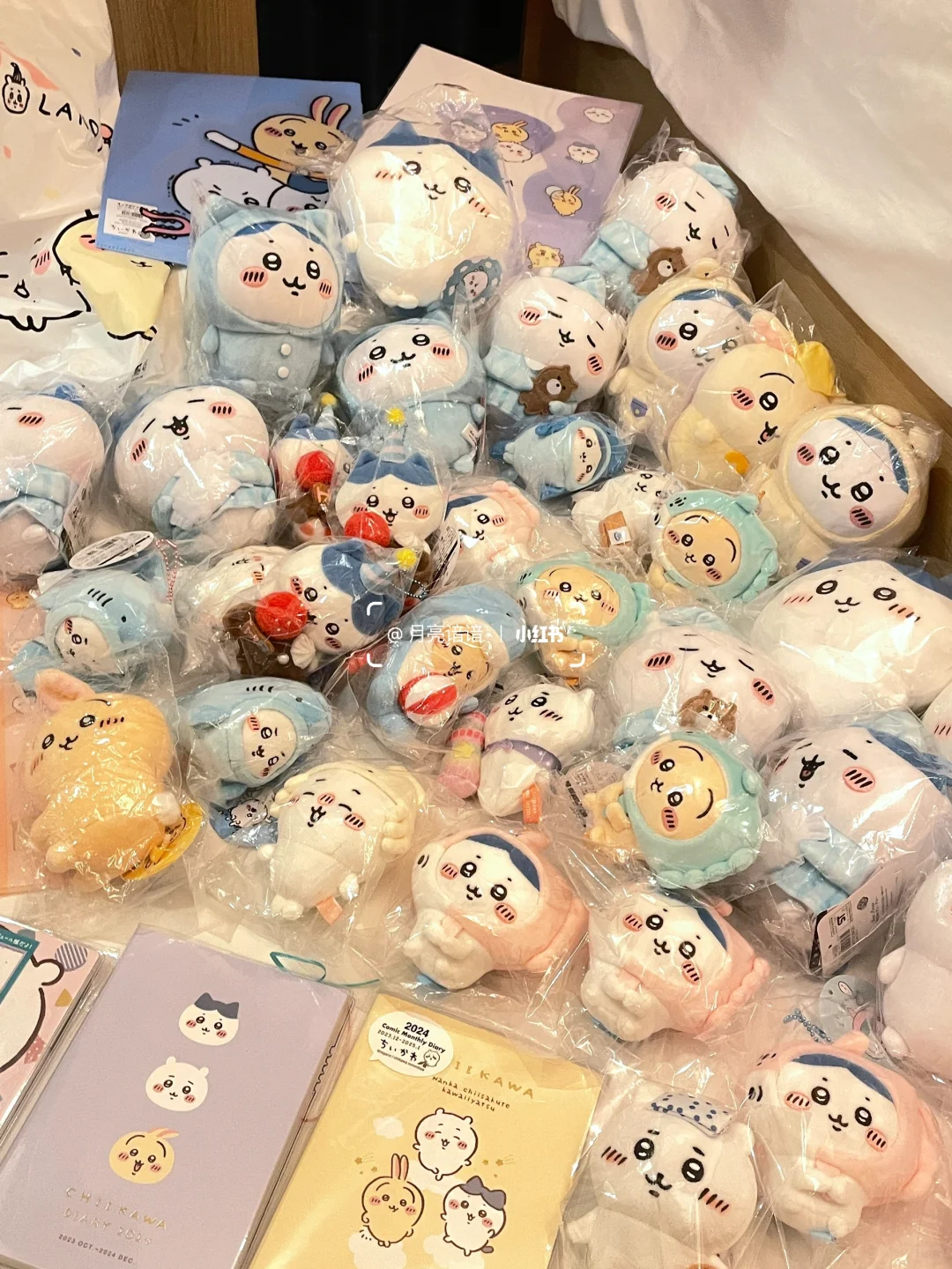 Tokyo Chiikawa Shopping Guide 🛍🛍🛍