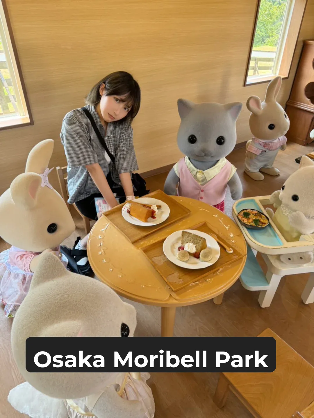 Off to Osaka's Sylvanian Families Land!