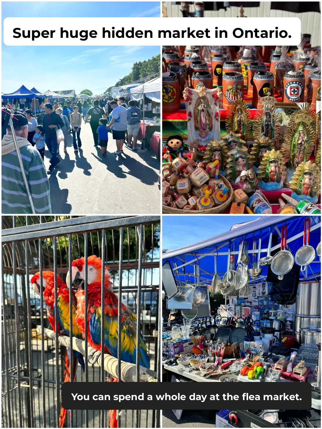 A Hidden Gem in Ontario: The Massive Market You Can Explore All Day!