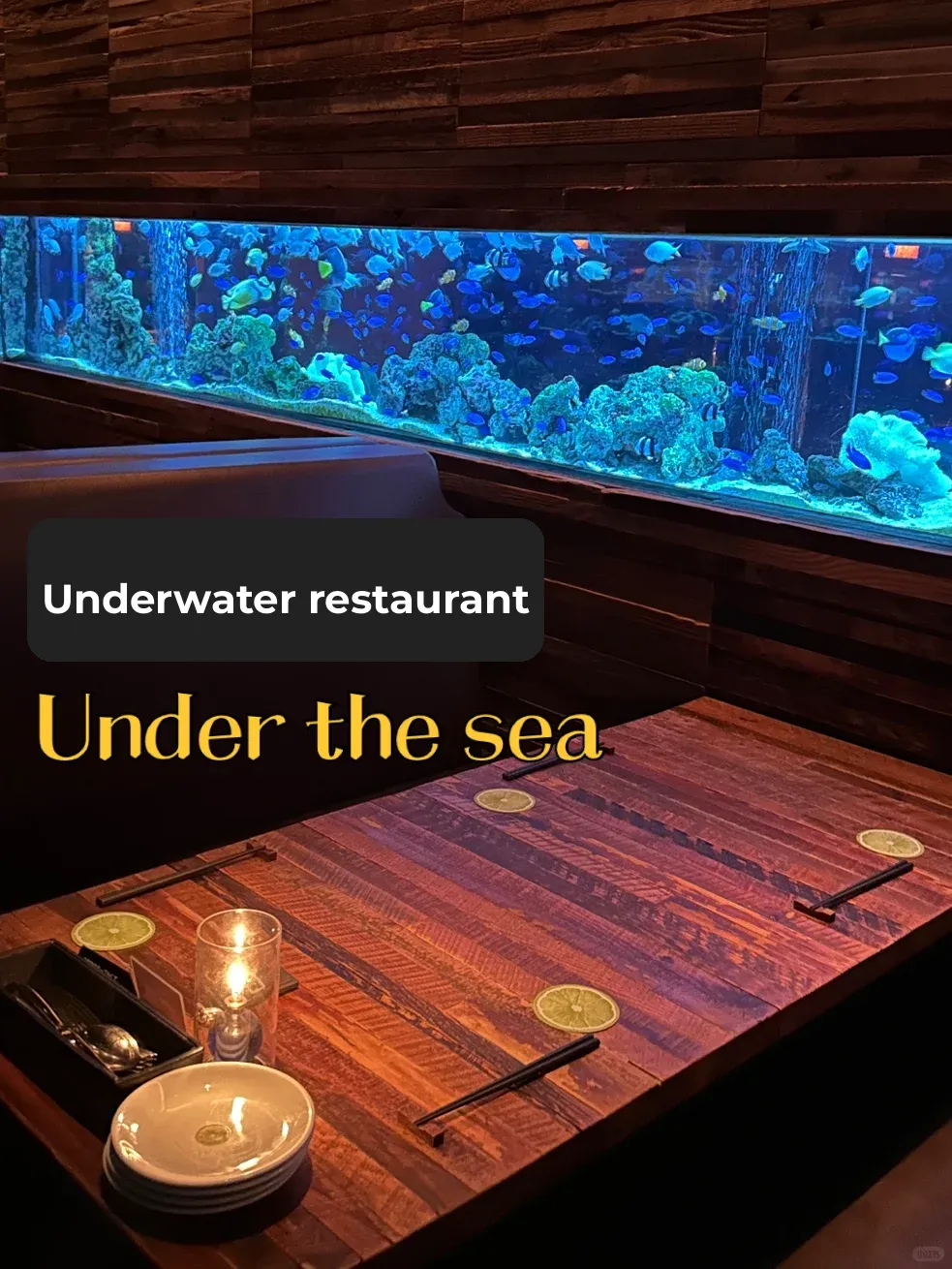 Sunday Chill: High-End Underwater Dining Spots Near Shinjuku