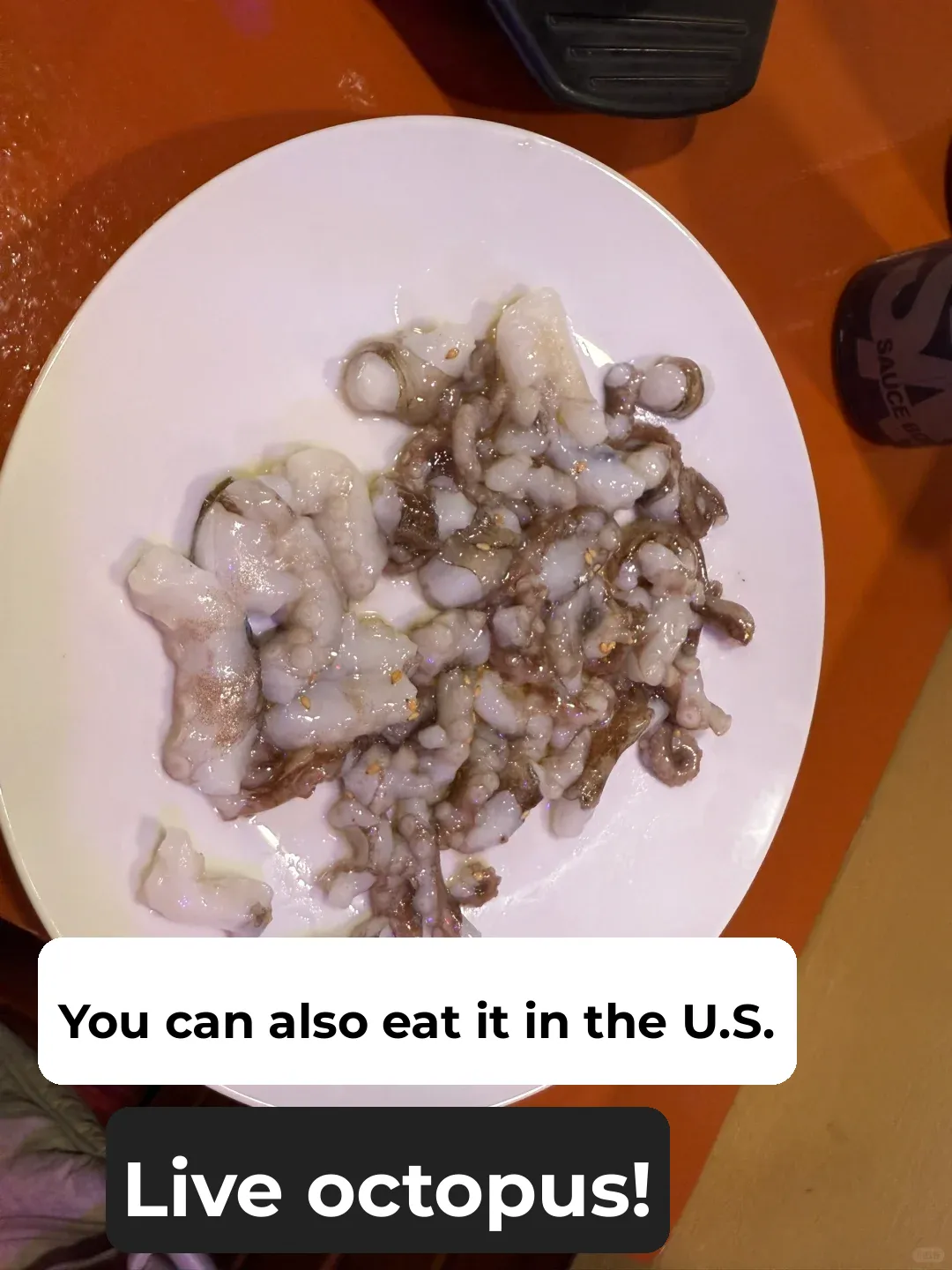 "Now You Can Try Live Octopus in New York City – A Korean Delicacy!"